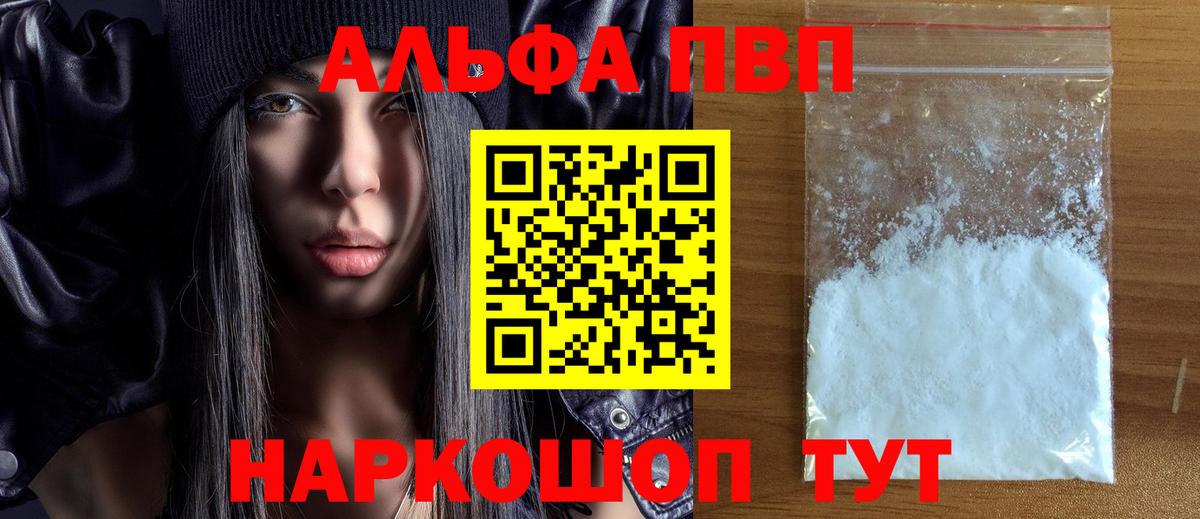 A PVP СК Можга