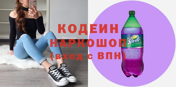 гашик Гусев