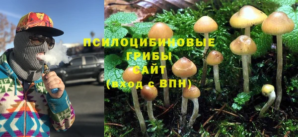 гашик Гусев