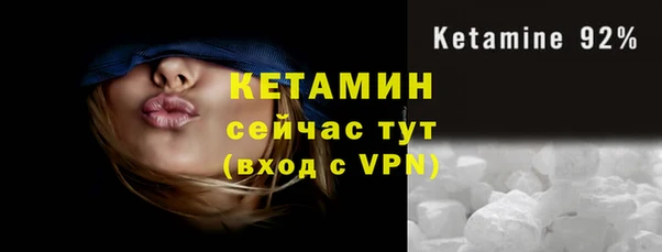 гашик Гусев
