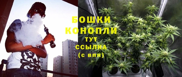 ешки Гусиноозёрск