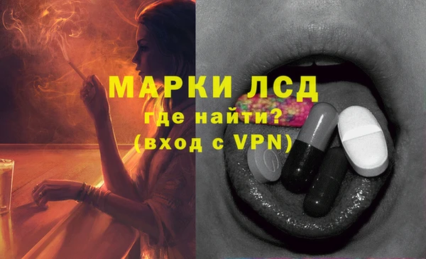 гашик Гусев