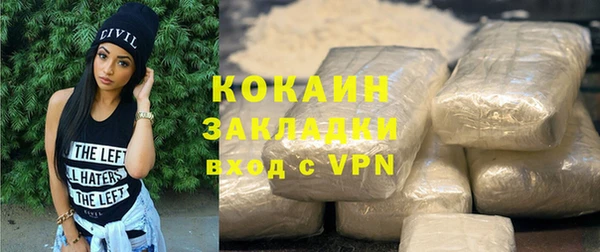 гашик Гусев