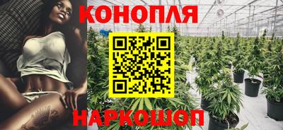 прущие грибы Ипатово
