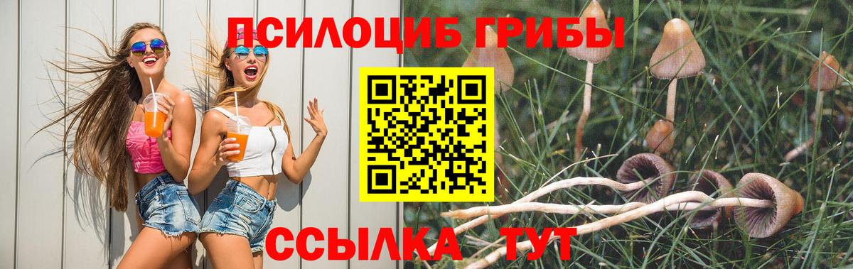 что такое   Вход с VPN  Псилоцибиновые грибы Cubensis  Можга  Псилоцибиновые грибы ЛСД 